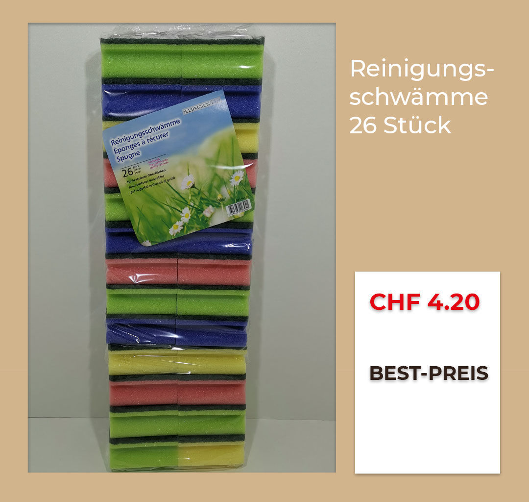 reinigungsschwaemme